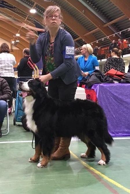 Pia på utstilling