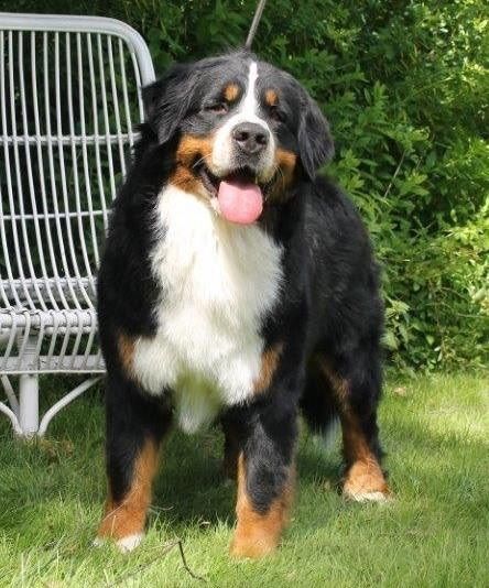 Qurt 3 år