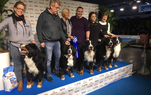 MyDog 2019
Qurt i avlsklasse med Bliss, Zappa, Billy og Oliver
Dag 1 Nr1/1 med HP og Nr 2/2 i store finaleringen
Dag 2 Nr1/2 med HP og Nr3/7 i store finaleringen