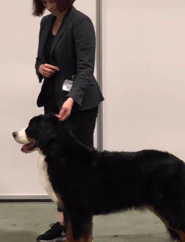 Gyda på Dogs4all 2018