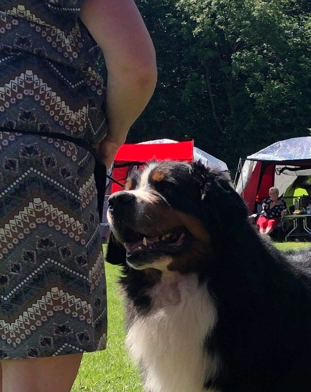 Ozzy i Vejen 2019, 9 år og 3 mnd