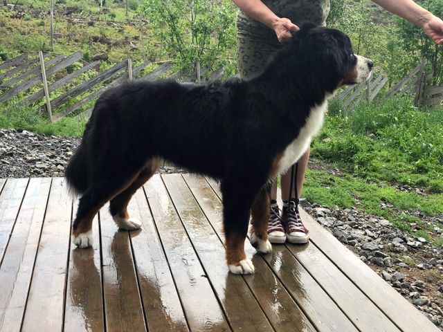 Barbro 1år 🥰