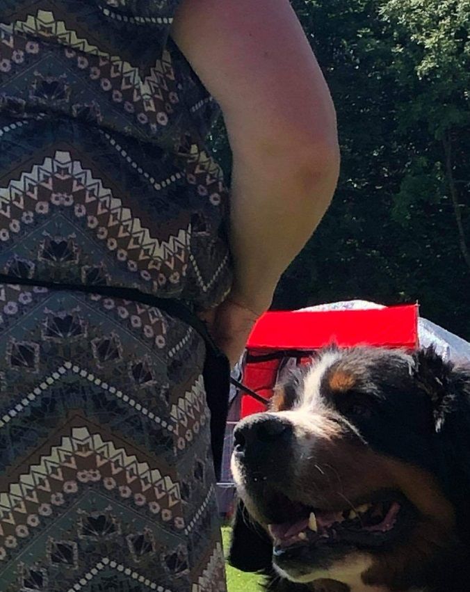 Ozzy dag 3 i Vejen, og ny dansk veteranchampion 🍾🍾🍾