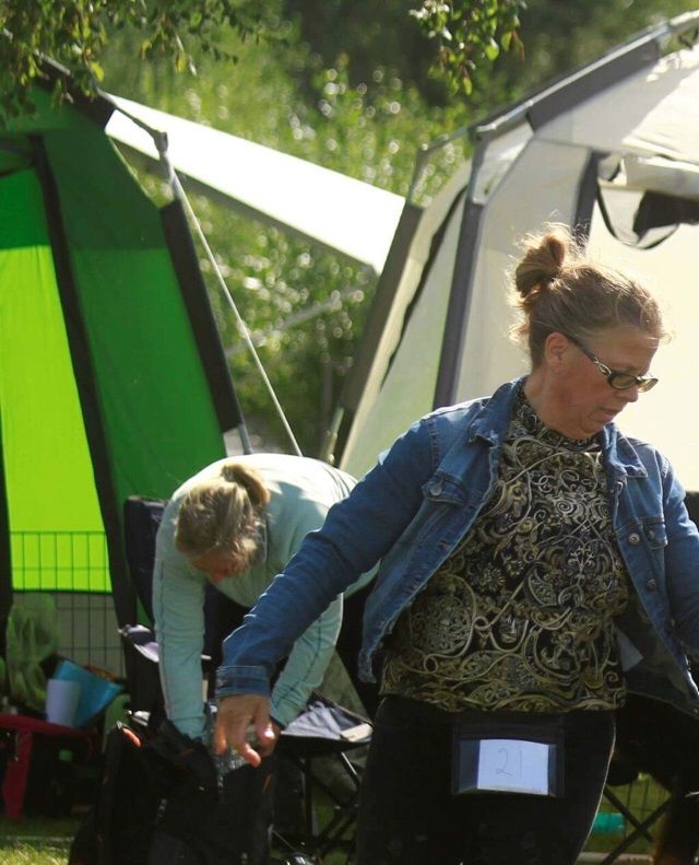 Ozzy i farta på Hedmarksspesialen 2019, hvor han ble BIR - veteran❣️Foto: Mari-Anne Braaten