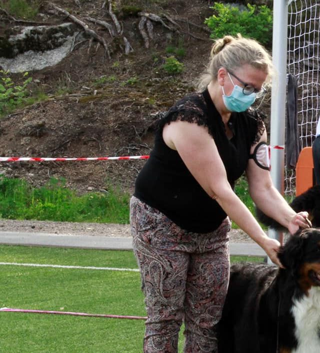 Prim Exc1 m/CK og Cruftskvalifisering, NKK Melsomvik 05.06.2021. Foto. Mari Anne Braaten
