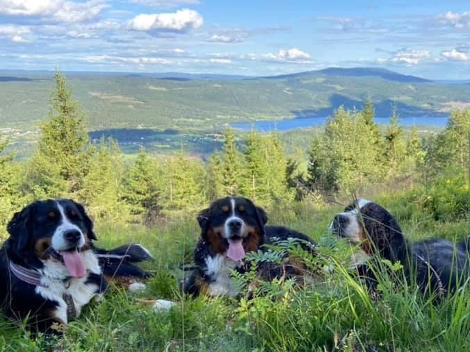 Alle 4 på Buråskollen, med utsikt til Hurdalssjøen.